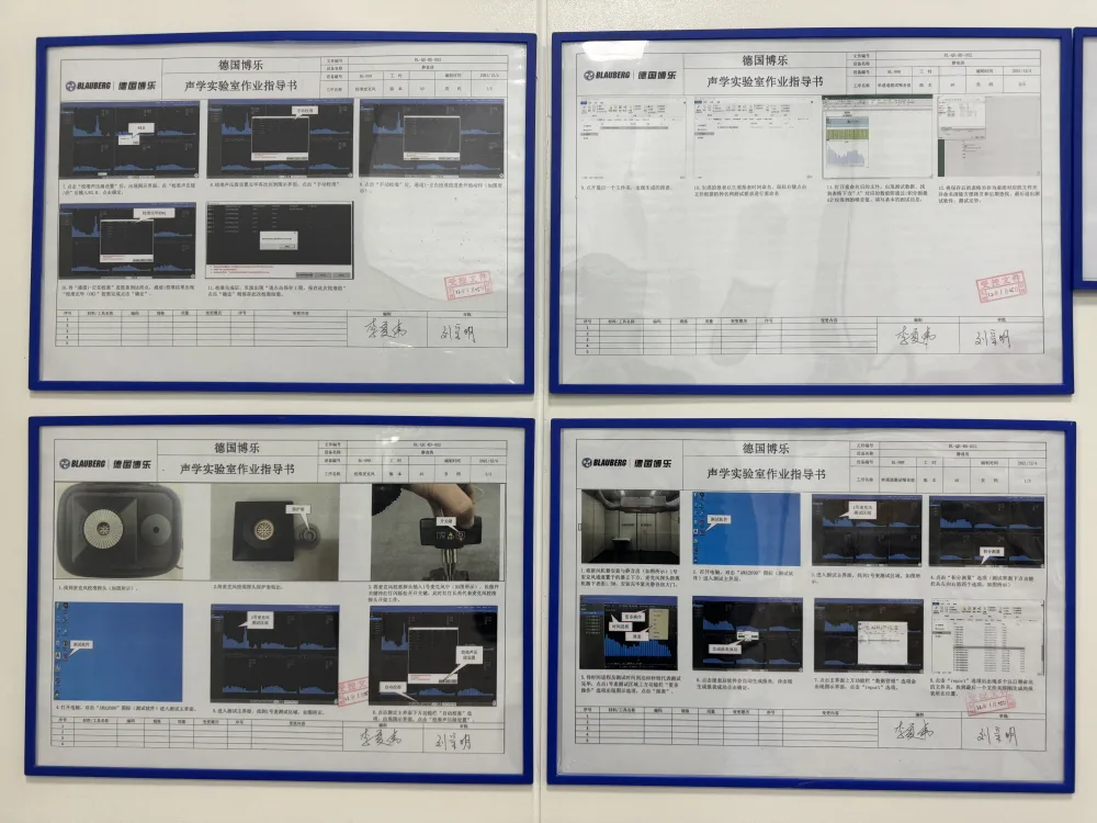 Blauberg laboratory work instruction