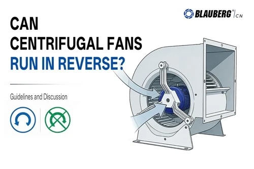 Can Centrifugal Fans Run in Reverse? A Detailed Analysis and Application Discussion